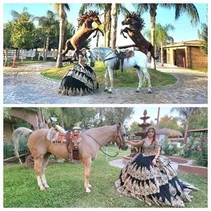 Meet your Posher, Luis